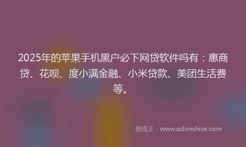 2025年的苹果手机黑户必下网贷软件吗有：惠商贷、花呗、度小满金融、小米贷款、美团生活费等。