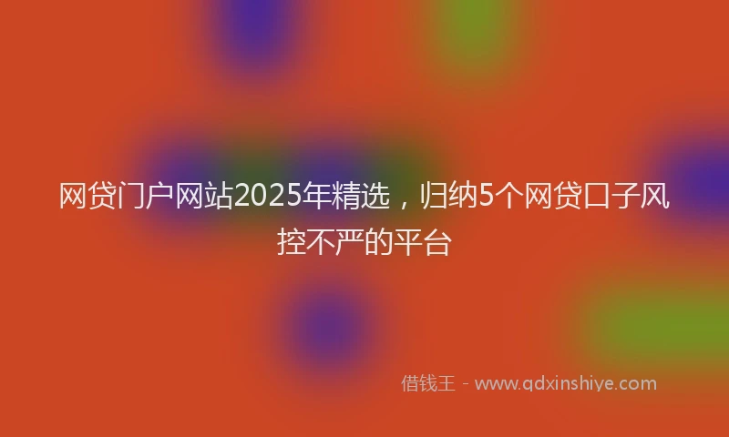 网贷门户网站2025年精选，归纳5个网贷口子风控不严的平台