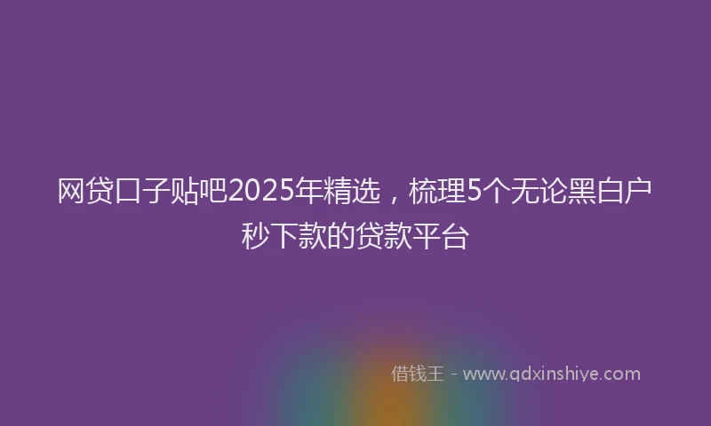 网贷口子贴吧2025年精选，梳理5个无论黑白户秒下款的贷款平台