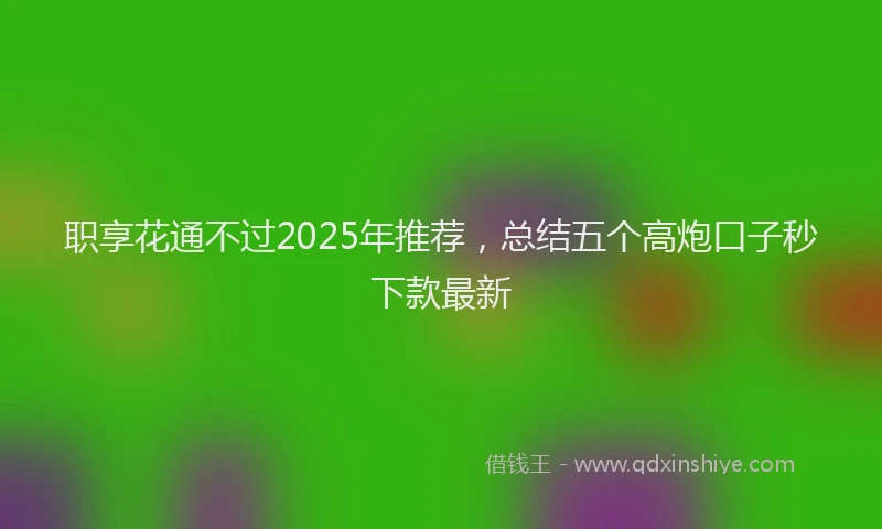 职享花通不过2025年推荐，总结五个高炮口子秒下款最新