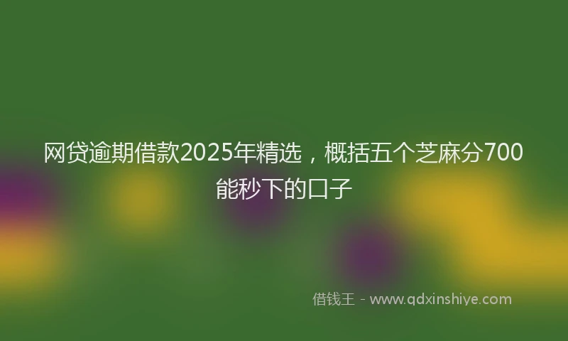 网贷逾期借款2025年精选，概括五个芝麻分700能秒下的口子