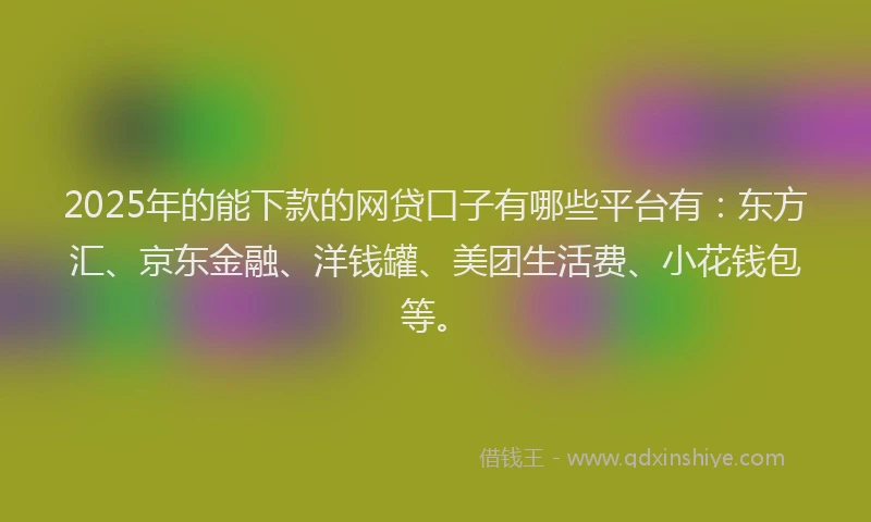 2025年的能下款的网贷口子有哪些平台有：东方汇、京东金融、洋钱罐、美团生活费、小花钱包等。
