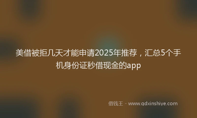 美借被拒几天才能申请2025年推荐，汇总5个手机身份证秒借现金的app