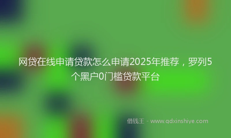 网贷在线申请贷款怎么申请2025年推荐，罗列5个黑户0门槛贷款平台
