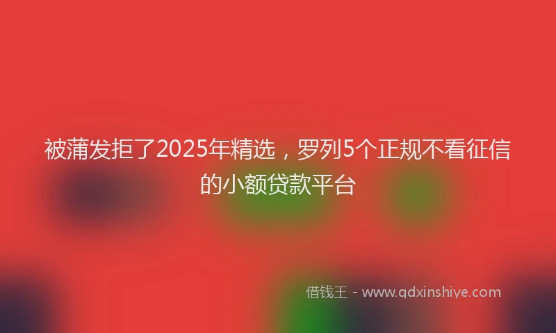 被蒲发拒了2025年精选，罗列5个正规不看征信的小额贷款平台