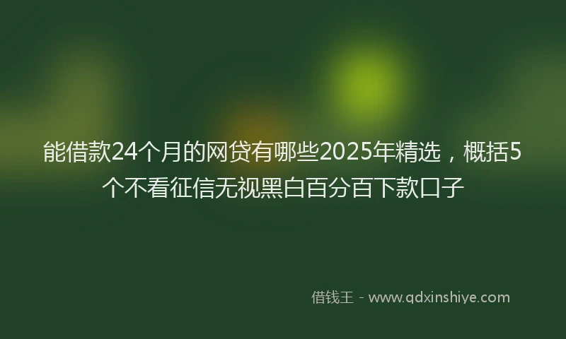 能借款24个月的网贷有哪些2025年精选，概括5个不看征信无视黑白百分百下款口子
