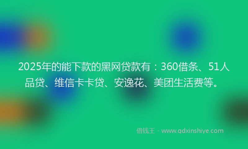 2025年的能下款的黑网贷款有：360借条、51人品贷、维信卡卡贷、安逸花、美团生活费等。