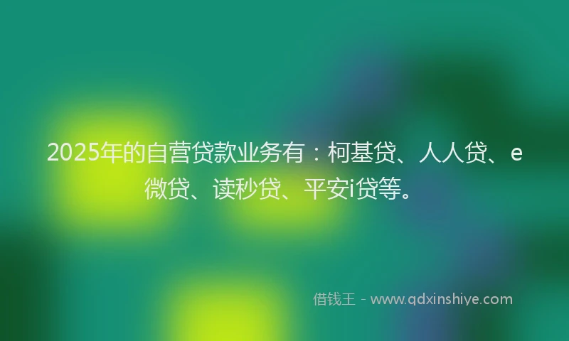 2025年的自营贷款业务有：柯基贷、人人贷、e微贷、读秒贷、平安i贷等。