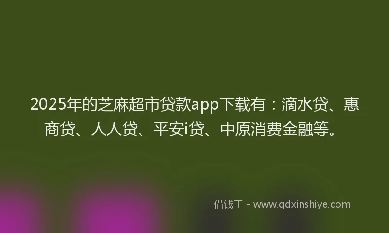 2025年的芝麻超市贷款app下载有：滴水贷、惠商贷、人人贷、平安i贷、中原消费金融等。