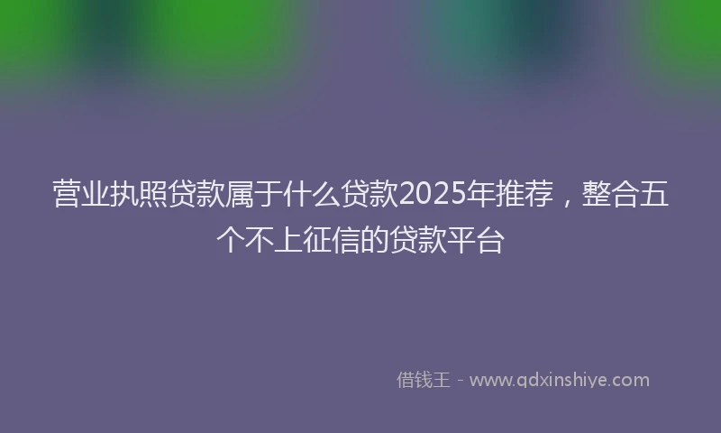 营业执照贷款属于什么贷款2025年推荐，整合五个不上征信的贷款平台