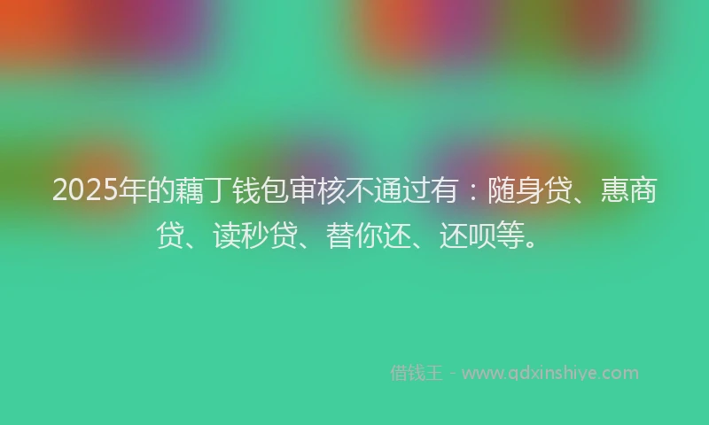 2025年的藕丁钱包审核不通过有：随身贷、惠商贷、读秒贷、替你还、还呗等。