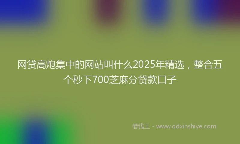 网贷高炮集中的网站叫什么2025年精选，整合五个秒下700芝麻分贷款口子
