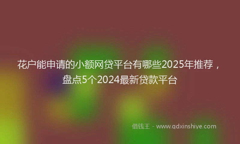 花户能申请的小额网贷平台有哪些2025年推荐，盘点5个2024最新贷款平台