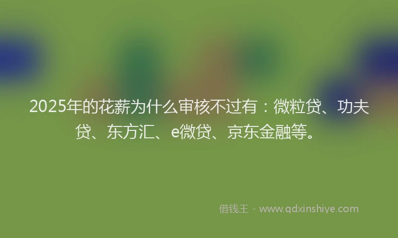 2025年的花薪为什么审核不过有：微粒贷、功夫贷、东方汇、e微贷、京东金融等。
