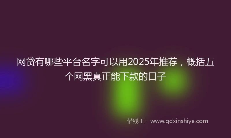 网贷有哪些平台名字可以用2025年推荐，概括五个网黑真正能下款的口子