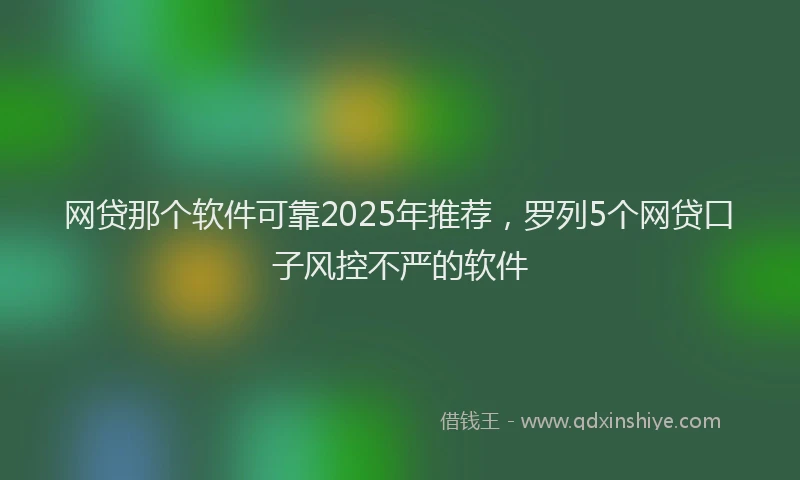网贷那个软件可靠2025年推荐，罗列5个网贷口子风控不严的软件