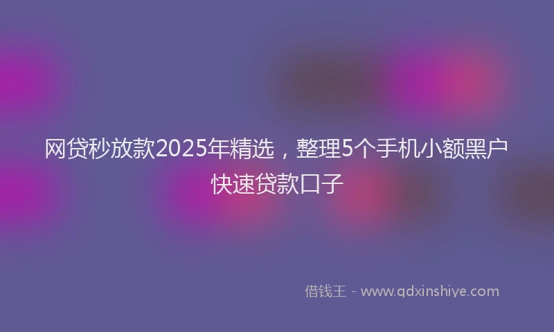 网贷秒放款2025年精选，整理5个手机小额黑户快速贷款口子
