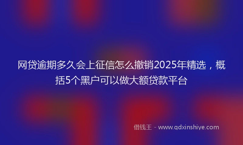网贷逾期多久会上征信怎么撤销2025年精选，概括5个黑户可以做大额贷款平台