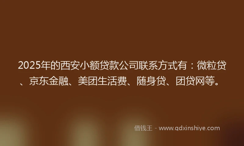 2025年的西安小额贷款公司联系方式有：微粒贷、京东金融、美团生活费、随身贷、团贷网等。