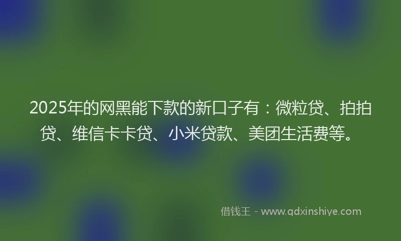 2025年的网黑能下款的新口子有：微粒贷、拍拍贷、维信卡卡贷、小米贷款、美团生活费等。