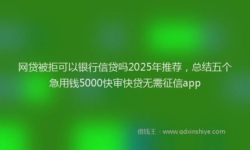 网贷被拒可以银行信贷吗2025年推荐，总结五个急用钱5000快审快贷无需征信app