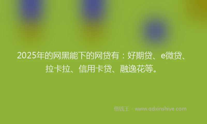 2025年的网黑能下的网贷有：好期贷、e微贷、拉卡拉、信用卡贷、融逸花等。