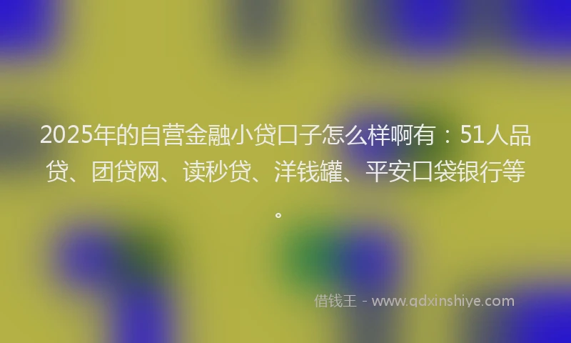 2025年的自营金融小贷口子怎么样啊有：51人品贷、团贷网、读秒贷、洋钱罐、平安口袋银行等。