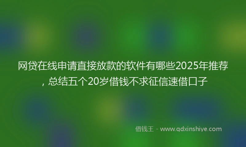 网贷在线申请直接放款的软件有哪些2025年推荐，总结五个20岁借钱不求征信速借口子