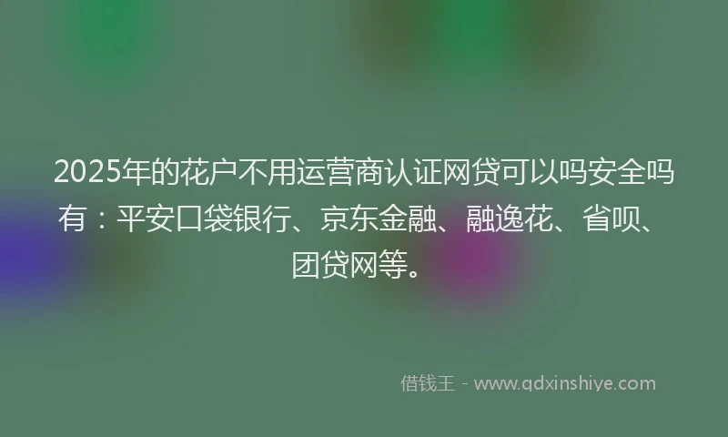 2025年的花户不用运营商认证网贷可以吗安全吗有：平安口袋银行、京东金融、融逸花、省呗、团贷网等。
