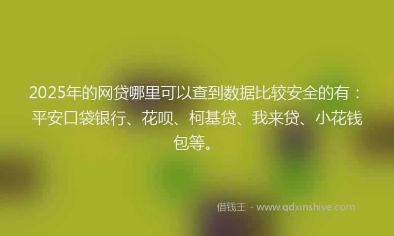 2025年的网贷哪里可以查到数据比较安全的有：平安口袋银行、花呗、柯基贷、我来贷、小花钱包等。