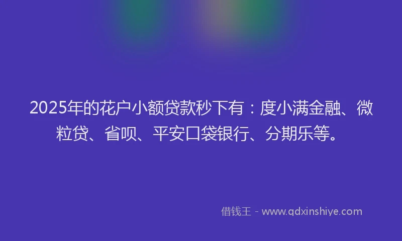 2025年的花户小额贷款秒下有：度小满金融、微粒贷、省呗、平安口袋银行、分期乐等。