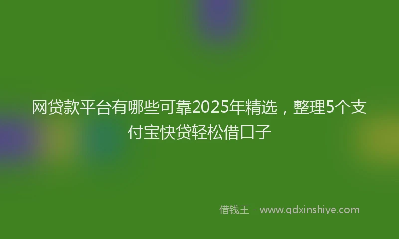 网贷款平台有哪些可靠2025年精选，整理5个支付宝快贷轻松借口子