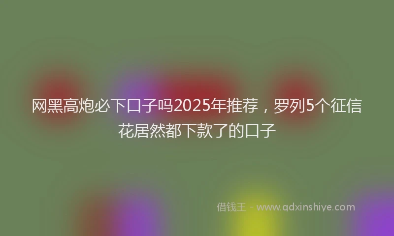 网黑高炮必下口子吗2025年推荐，罗列5个征信花居然都下款了的口子