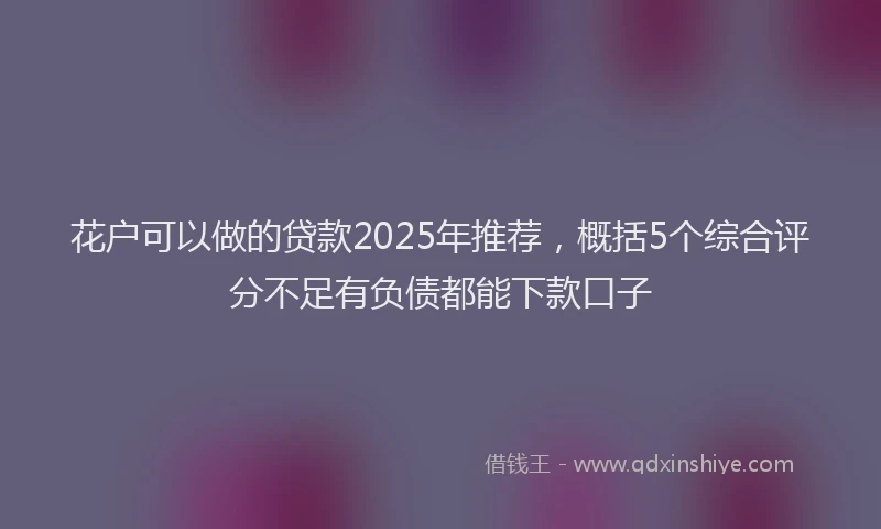 花户可以做的贷款2025年推荐，概括5个综合评分不足有负债都能下款口子
