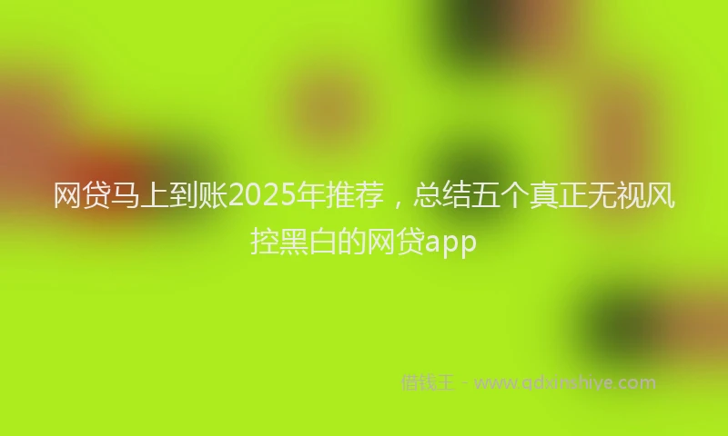 网贷马上到账2025年推荐，总结五个真正无视风控黑白的网贷app