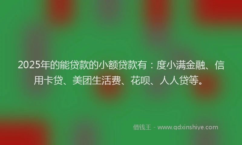 2025年的能贷款的小额贷款有：度小满金融、信用卡贷、美团生活费、花呗、人人贷等。