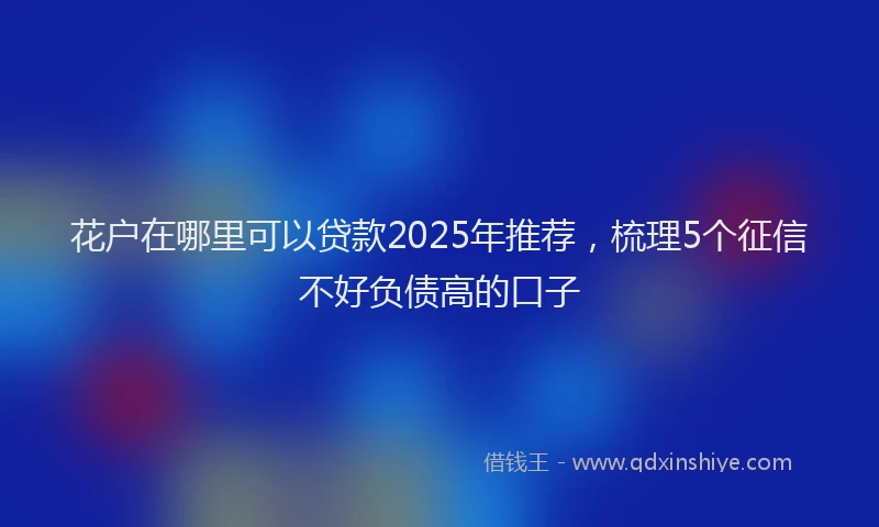 花户在哪里可以贷款2025年推荐，梳理5个征信不好负债高的口子