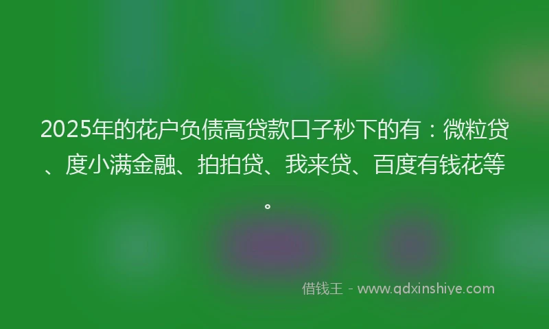 2025年的花户负债高贷款口子秒下的有：微粒贷、度小满金融、拍拍贷、我来贷、百度有钱花等。