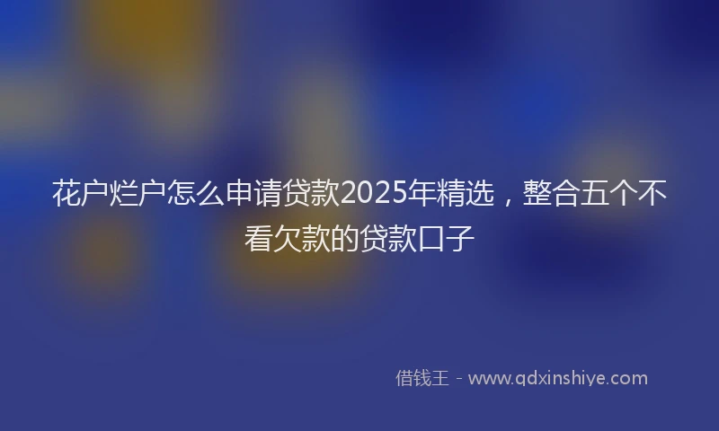 花户烂户怎么申请贷款2025年精选，整合五个不看欠款的贷款口子