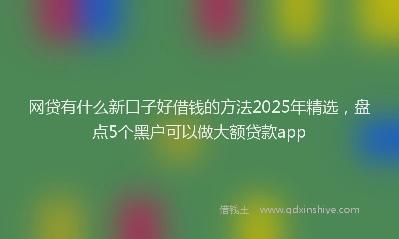网贷有什么新口子好借钱的方法2025年精选，盘点5个黑户可以做大额贷款app