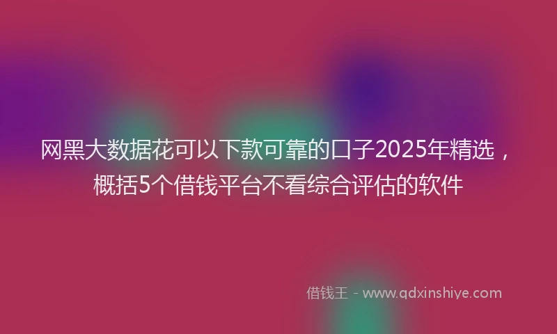 网黑大数据花可以下款可靠的口子2025年精选，概括5个借钱平台不看综合评估的软件