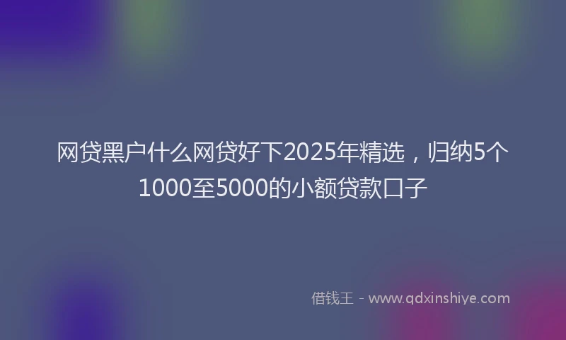 网贷黑户什么网贷好下2025年精选，归纳5个1000至5000的小额贷款口子