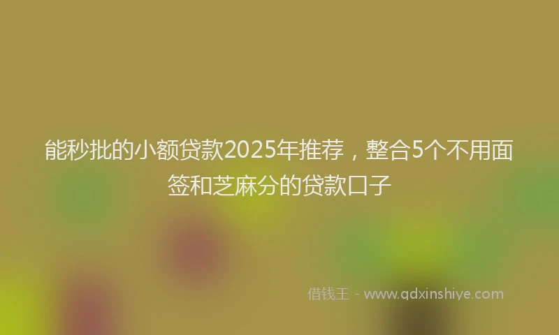 能秒批的小额贷款2025年推荐，整合5个不用面签和芝麻分的贷款口子
