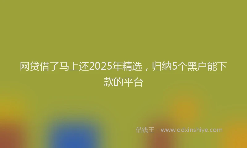 网贷借了马上还2025年精选，归纳5个黑户能下款的平台