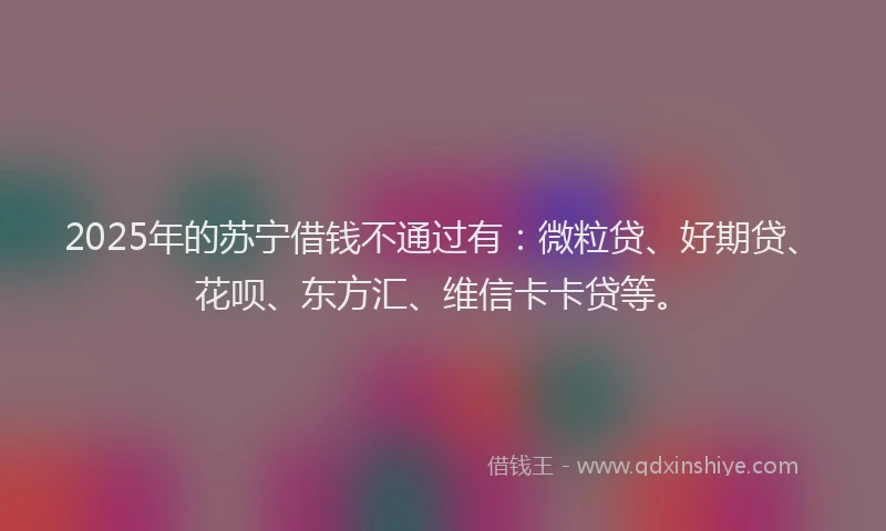 2025年的苏宁借钱不通过有：微粒贷、好期贷、花呗、东方汇、维信卡卡贷等。