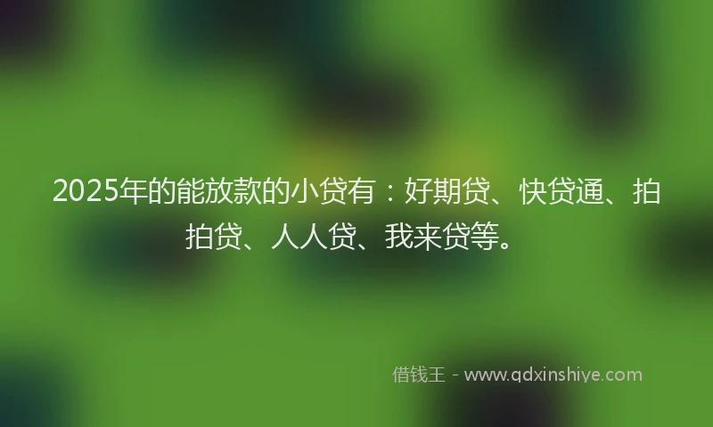 2025年的能放款的小贷有：好期贷、快贷通、拍拍贷、人人贷、我来贷等。