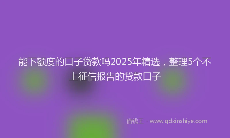 能下额度的口子贷款吗2025年精选，整理5个不上征信报告的贷款口子