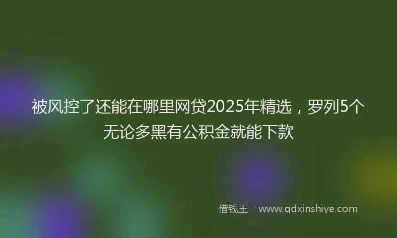 被风控了还能在哪里网贷2025年精选，罗列5个无论多黑有公积金就能下款