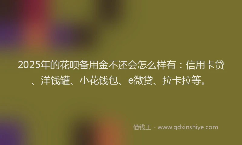 2025年的花呗备用金不还会怎么样有：信用卡贷、洋钱罐、小花钱包、e微贷、拉卡拉等。