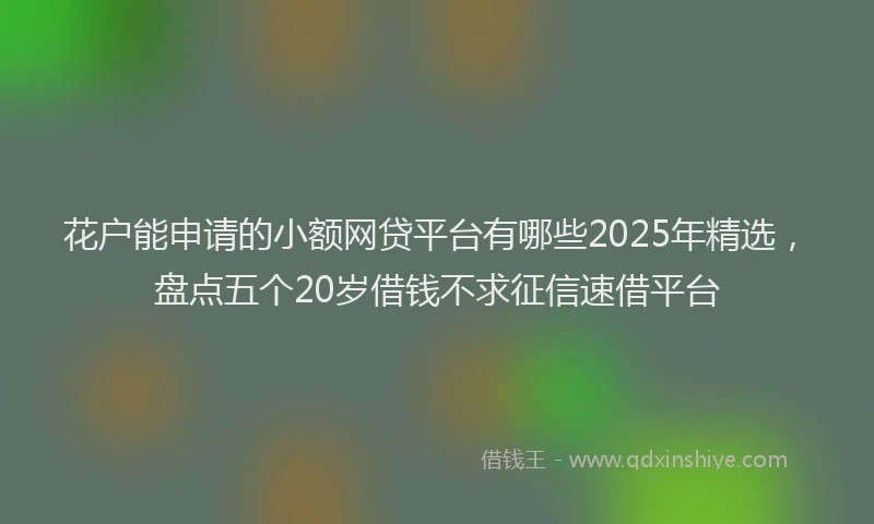 花户能申请的小额网贷平台有哪些2025年精选，盘点五个20岁借钱不求征信速借平台